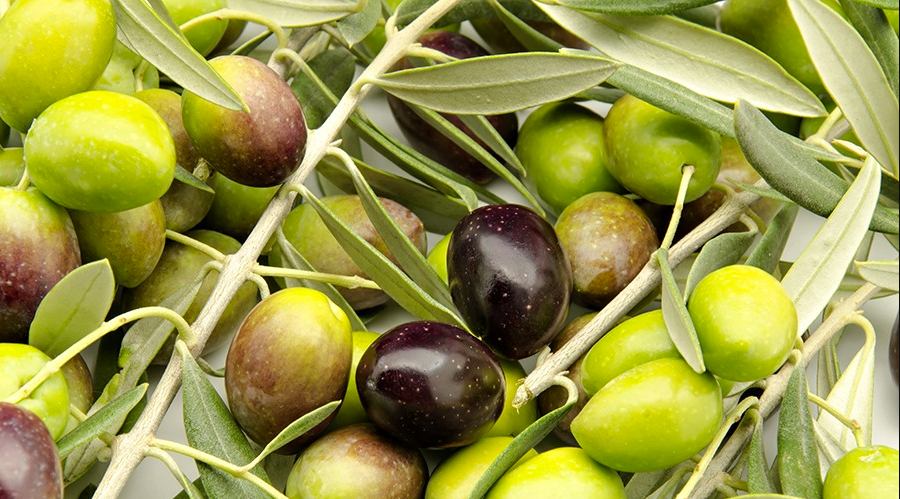 extra natives Olivenöl
